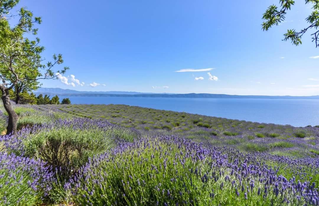 Sea View Apartments M Podgora Zewnętrze zdjęcie